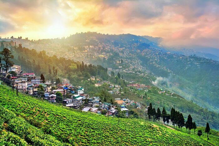 delhi to darjeeling tour package