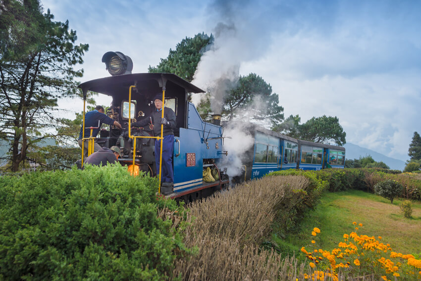 Explore DARJEELING Online's New Interactive Train