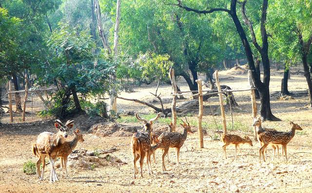 shantiniketan tourist spots