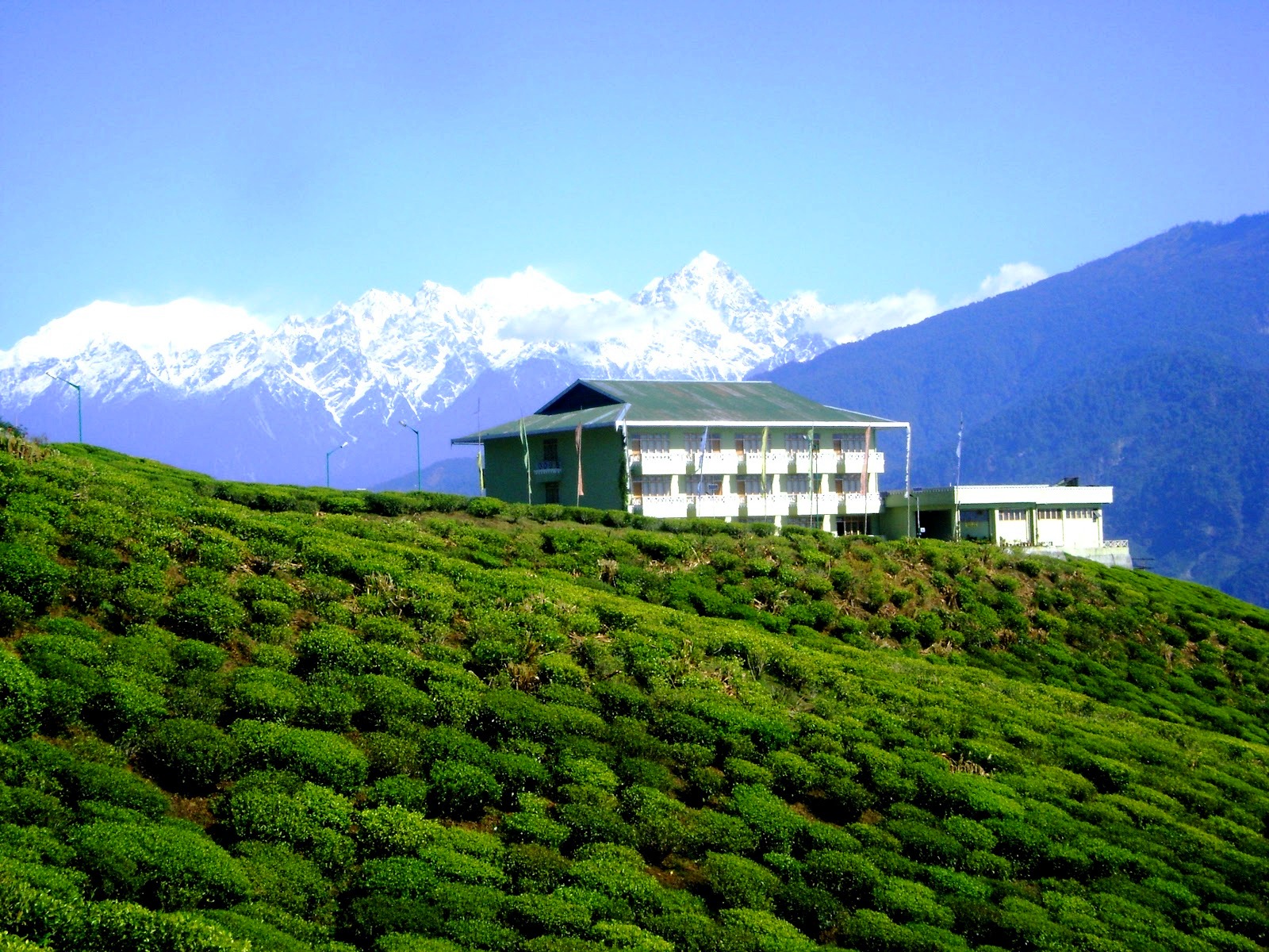 eco tourism resort temi tea garden